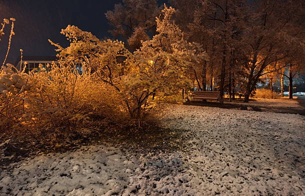 istock Night park in autumn snow 2212914928