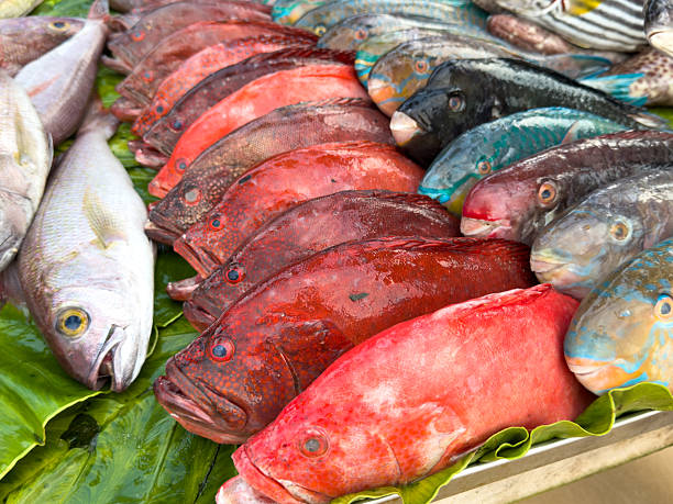 istock A variety of fish are displayed on a table, including some red and blue fish 2212915027