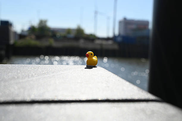 Rubber Duck at the Hamburg Docks, Hamburg, Germany