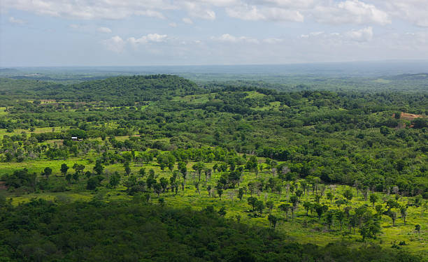 istock Green natural landscape aerial view 2212917567