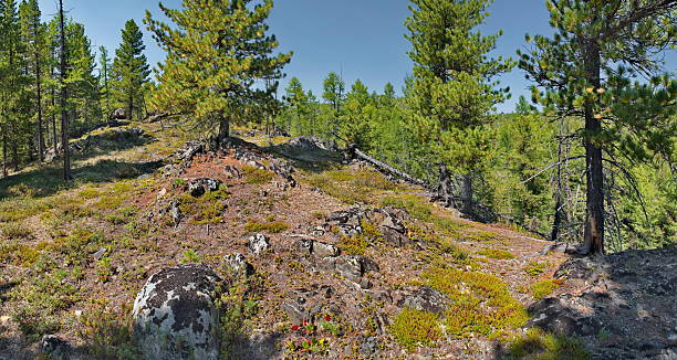 istock On the rocky taiga pass 2212918517