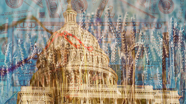 istock U.S Farmers and Trade Tariffs 2212921504