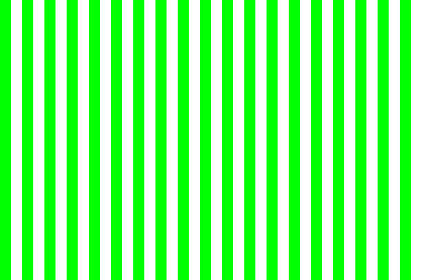 Lime  color and white color background with lines. traditional vertical striped background texture.
