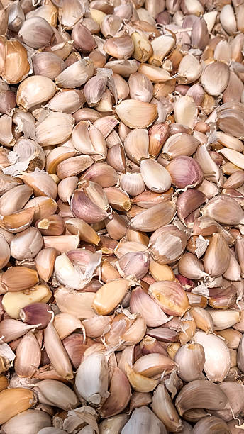 Garlic is a Thai herb and spice that is commonly used in many dishes. both Thai and Indian.