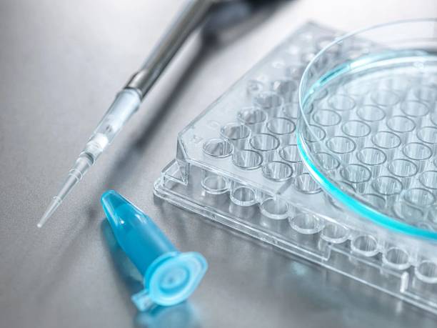 istock Scientific tools, featuring a petri dish, ampoule, and multi-well plate, close up in a laboratory setting. 2212923647