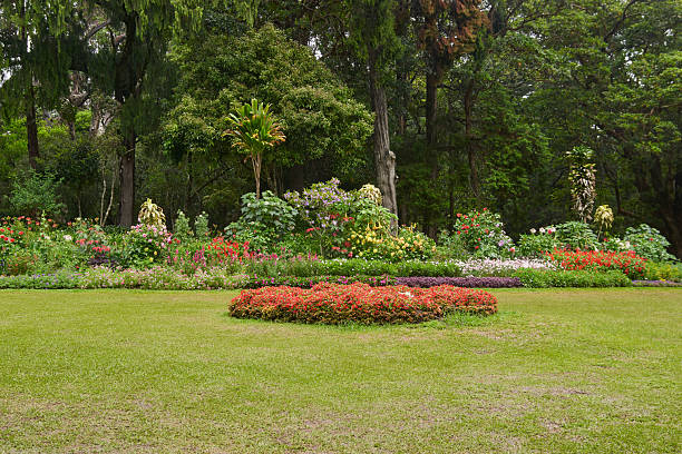 istock section of well maintained garden background 2212924468