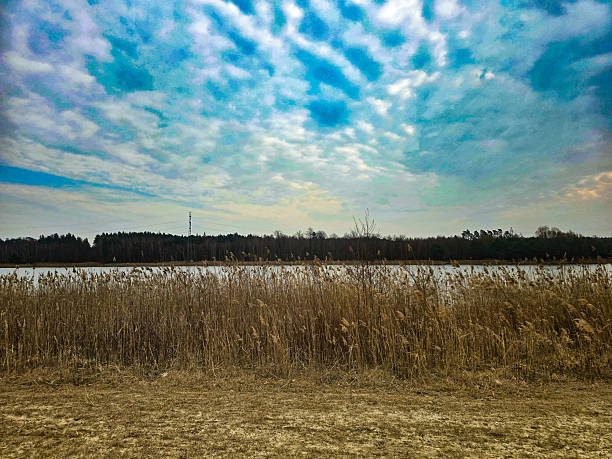 A calm lakeside scene featuring a gentle shoreline with smooth stones, patches of green grass, and still water. The composition highlights the tranquil beauty of nature, perfect for use in environmental themes, wellness concepts, or travel content. Soft natural lighting and earthy tones create a soothing and peaceful atmosphere.