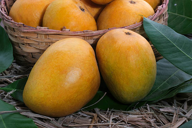 istock Mango tropical fruit with green leaf, Ripe mango in grass closeup 2212929125