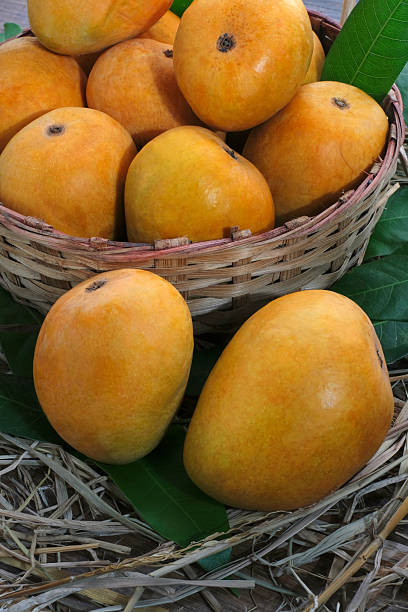 istock Mango tropical fruit with green leaf, Ripe mango in grass closeup 2212929146