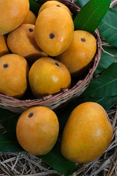 istock Mango tropical fruit with green leaf, Ripe mango in grass closeup 2212929164