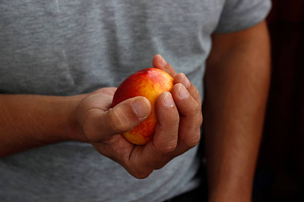 istock peach in hand, man holding peach in hand 2212930267