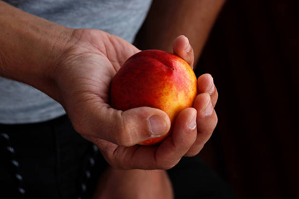 istock peach in hand, man holding peach in hand 2212930268