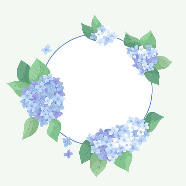 istock Elegant floral wreath with delicate blue and purple hydrangea Romantic card template with inflorescences hortensia elements border ideal for wedding invitations, decor flyer, print bohemian aesthetics 2212933294