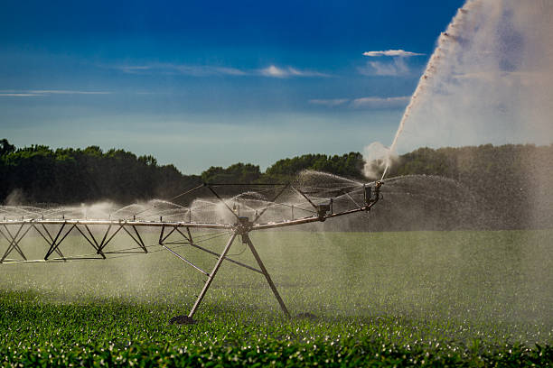 istock Irrigation equipment. Irrigation system for American farm. Sprinklers watering system. Irrigation system for farm land. Lawn sprinkler watering field. Aerial photo of irrigation used to water plants. 2212937804