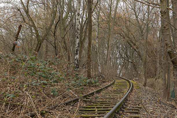 istock Overgrown and abandoned Subway railway tracks disappearing in Berlin 2212938830