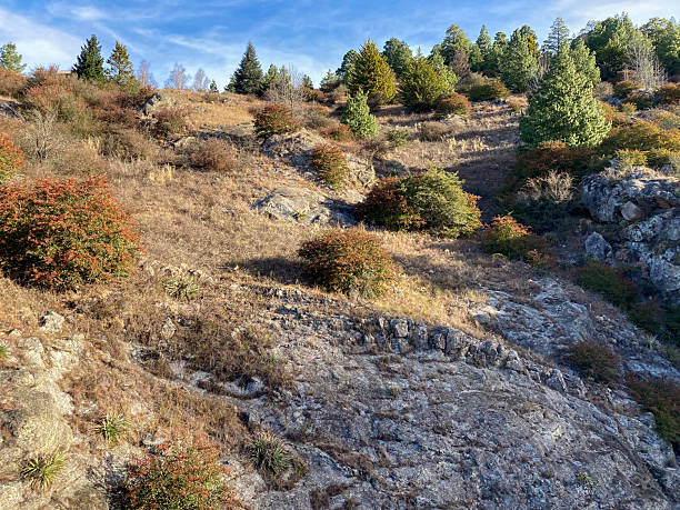 istock Stony path on the mountainside on a sunny winter day. 2212943924