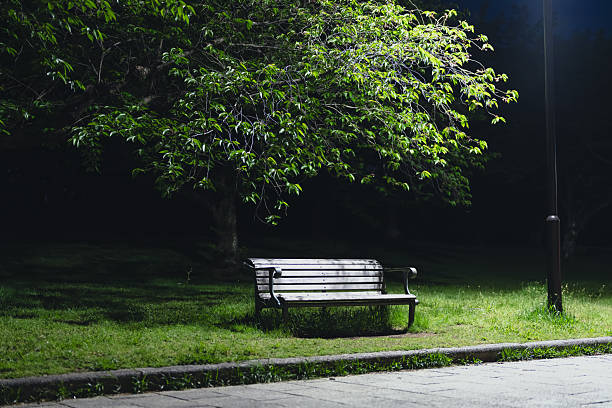 Benches and lights in a park at night - advertising background with information space in mind