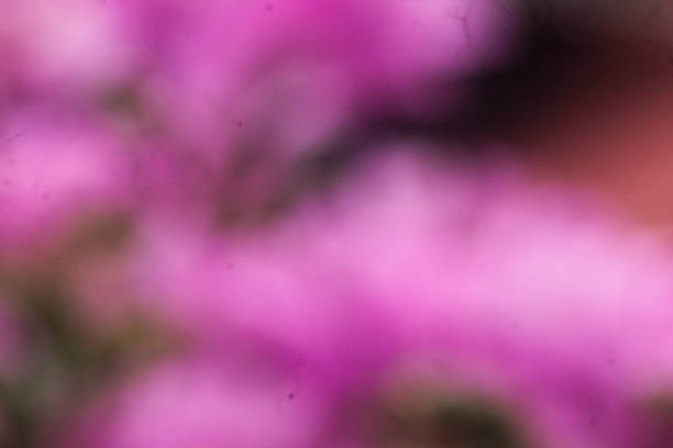 blur abstract nature background. Blurred natural green abstract background. Blur natural bokeh background. Green bokeh on nature abstract blur background. Blur.