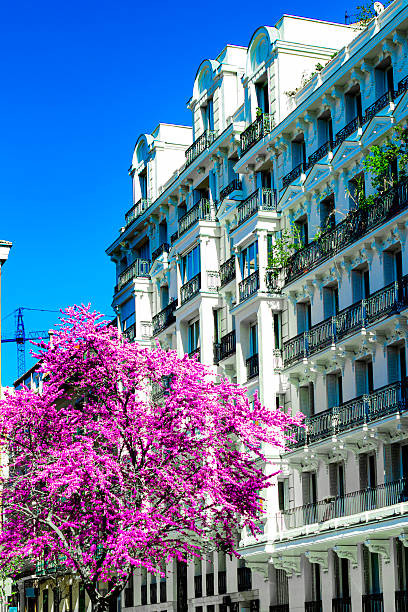 istock Love tree with skyline background of a city 2212950267