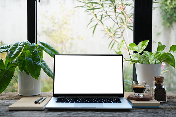 istock Laptop and notebooks with coffee and plant, cozy indoor workspace 2212958214