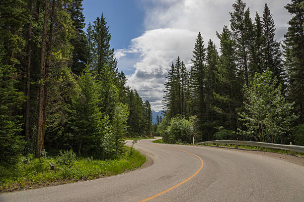 istock Scenic empty winding road along the forest in Banff National Park 2212968051