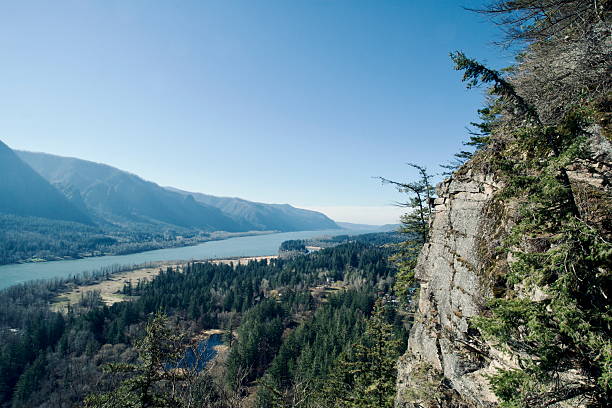 Aerial View of Columbia River, surrounded by massive pine trees, and huge rock cliffs under a clear blue sky. Taken while hiking at Beacon Point, a state park on a massive basalt outcropping overlooking the Columbia River Gorge to the east of Vancouver, Washington.