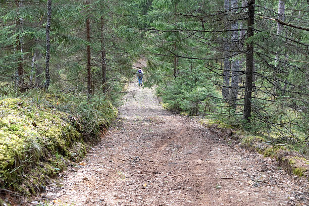 istock A forest path leading through dark conifers and ground cover, and a man with a backpack continues along it. 2212976189