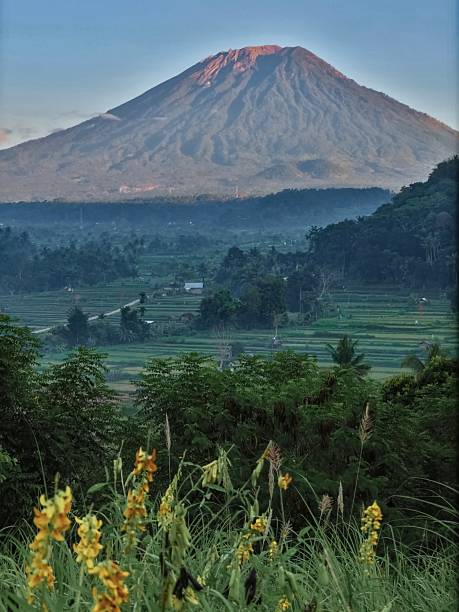 istock Mount Agung and Flowers at Sunrise 2212995884