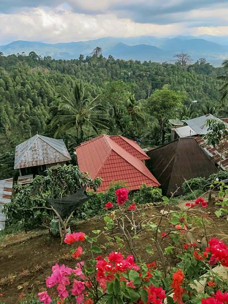 istock A Hilltop Village in a Lush Valley in Bali 2212997000