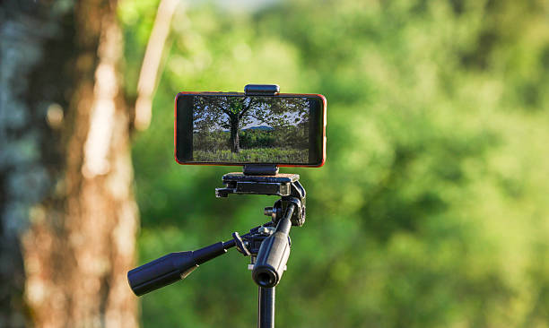 istock Smartphone shoots video in an old garden 2213000260