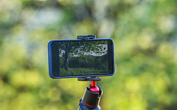 istock Smartphone shoots video in an old garden 2213000266