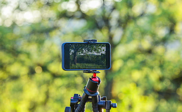 istock Smartphone shoots video in an old garden 2213000537