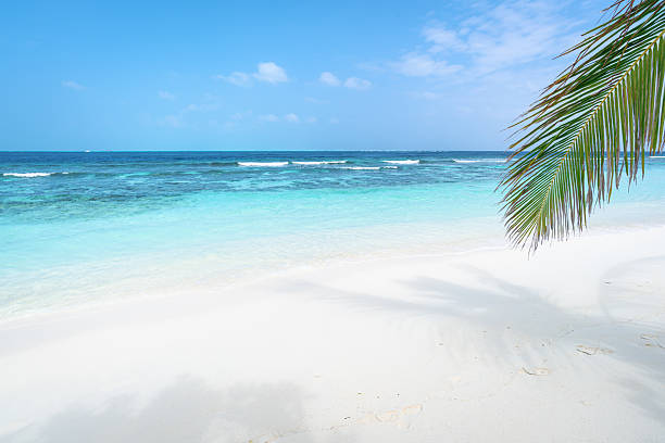 istock Tropical paradise beach copy space scene 2213000565