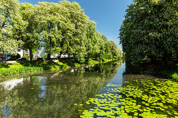 Rautenstrauch Canal in the Lindenthal district of Cologne
