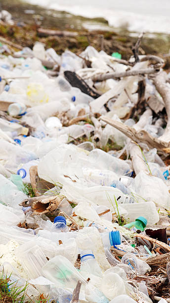 istock Marine debris and rubbish on a beach, ocean pollution, contaminated water 2213001065