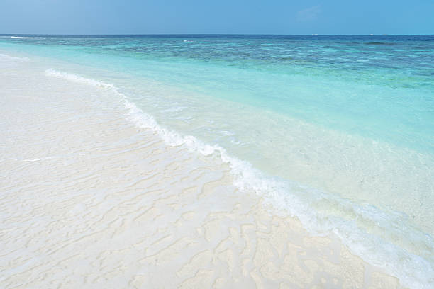 Turquoise sea wave on exotic tropical beach