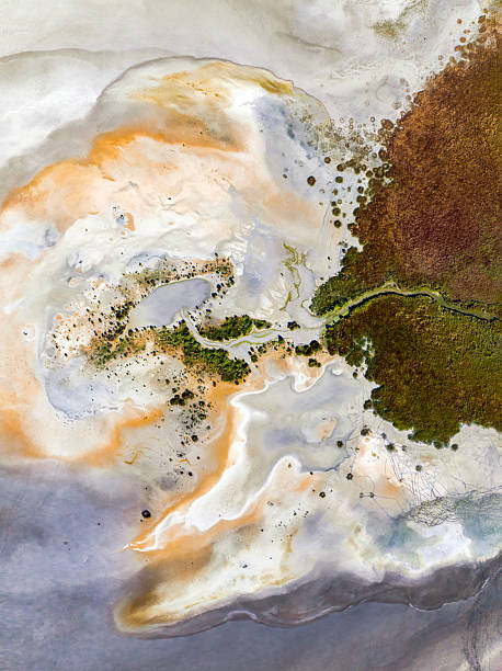 istock Natural shapes and textures 2213011555