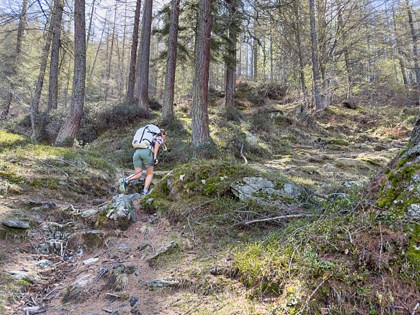 istock Adventurous Hiker Climbing Rugged Forest Trail 2213013573