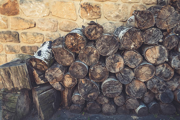 A sturdy arrangement of various wooden logs rests against a textured stone wall. Sunlight filters through, creating a warm and inviting atmosphere in a peaceful countryside location.