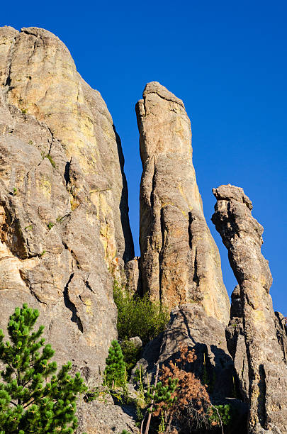 istock Rugged Overlook at the Black Hills in South Dakota 2213013849