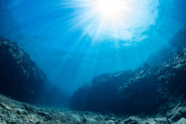 istock Beautiful underwater scenery with sunlight (Okinawa, Japan) 2213013999