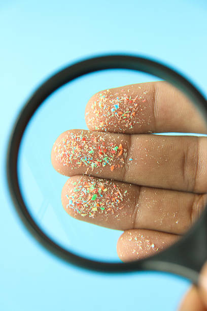 Stock photo showing close-up, elevated view of microplastics on the fingertips of an unrecognisable person who is viewing them through a magnifying glass. Microplastics can measure between 1 micron to 5 millimeters and are insoluble in water, unfortunately, they can leak harmful chemicals which can contaminate air, water and food and so cause harm to the health of the environment and human health.