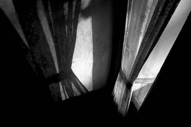 istock Sunlight coming in from the window 2213015262