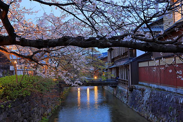 istock Gion Shirakawa Canal with cherry blossom 2213016231