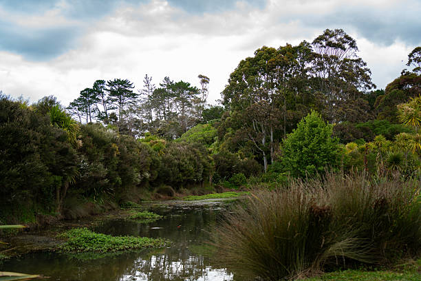 istock Park with lake in residential area 2213022572