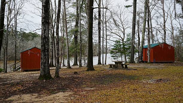 istock Roland C Cooper State Park Alabama 2213023553