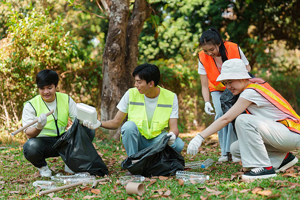 istock Collaborative environmental stewardship. Volunteers participating in a cleanup project to enhance local ecosystems and promote sustainability. 2213024795