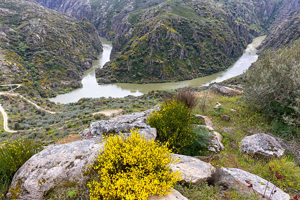A stunning view of a winding river cutting through lush, green mountains and rugged rocky terrain under an overcast sky.
