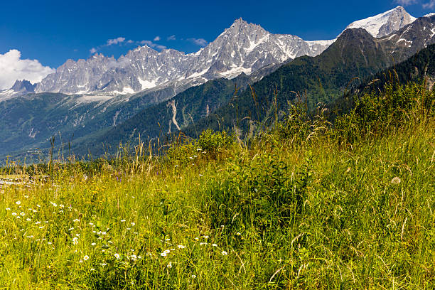 Aiguille du Midi peak in the Alps. Chamonix valley landscape of a prominent rocky towering mountain peak in French Alps. Chamonix-Montblanc area beautiful landscape of Aiguille du Midi summit, France