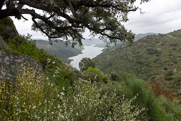 The landscape reveals a meandering river snaking through verdant hills, enveloped in tranquility and natural splendor.